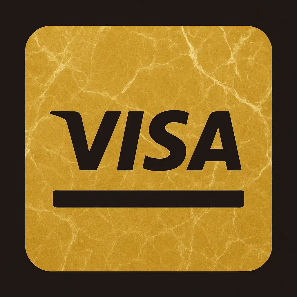 Visa icon